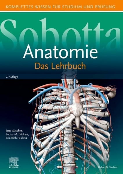 Paulsen, Friedrich Sobotta Lehrbuch Anatomie: Komplettes Wissen für Studium und Prüfung