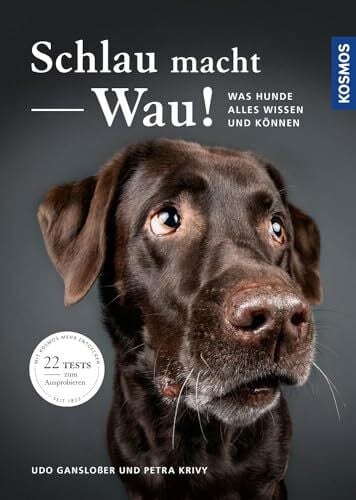 Krivy, Petra Schlau macht Wau!: Was Hunde alles wissen und können