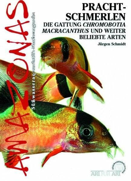 Schmidt, Jürgen Prachtschmerlen: Chromobotia macracanthus und weitere beliebte Arten