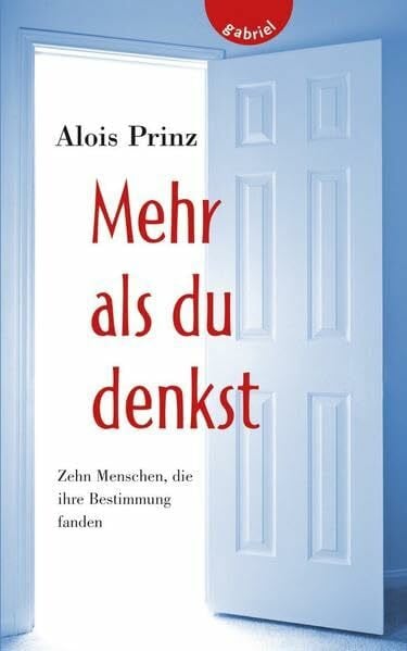 Schütte, Niklas Mehr als du denkst, Zehn Menschen, die ihre Bestimmung fanden
