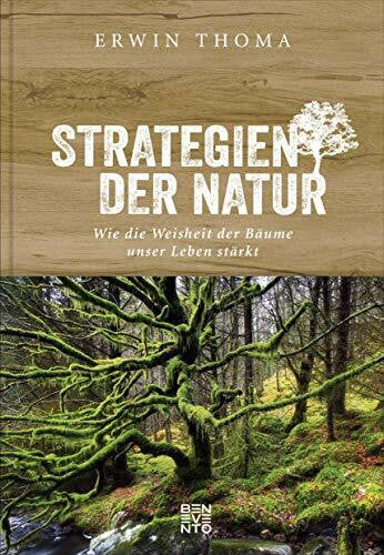 Thoma, Erwin Strategien der Natur: Wie die Weisheit der Bäume unser Leben stärkt