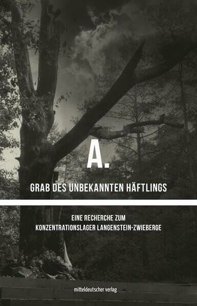 Pabst, Stephan A. Grab des unbekannten Häftlings: Eine Recherche zum Konzentrationslager Langenstein-Zwieberge