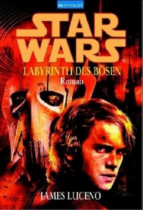 Winter, Regina Star Wars. Labyrinth des Bösen.