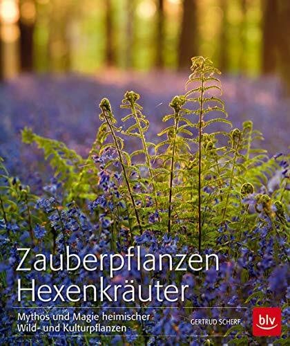 Scherf, Gertrud Zauberpflanzen Hexenkräuter: Mythos und Magie heimischer Wild- und Kulturpflanzen