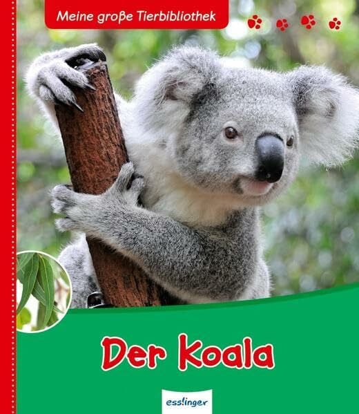 Tracqui, Valérie Der Koala: Meine große Tierbibliothek