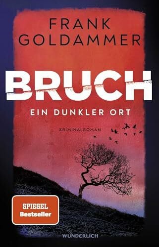 Goldammer, Frank Bruch: Ein dunkler Ort: Ein dunkler Ort (Felix Bruch, Band 1)