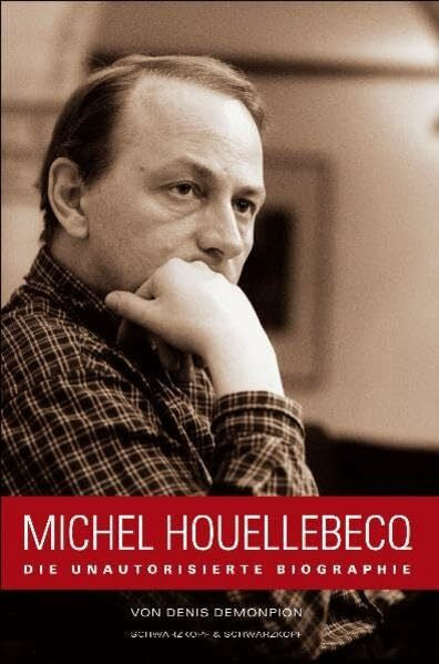 Demonpion, Denis Michel Houellebecq. Die unautorisierte Biografie
