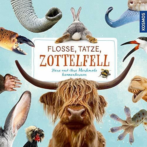Köhrsen, Andrea Flosse, Tatze, Zottelfell: Tiere und ihre Merkmale kennenlernen