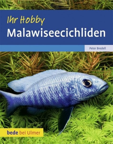 Bredell, Peter Malawiseecichliden