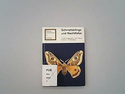 Hunzinger, E Schmetterlinge und Nachtfalter