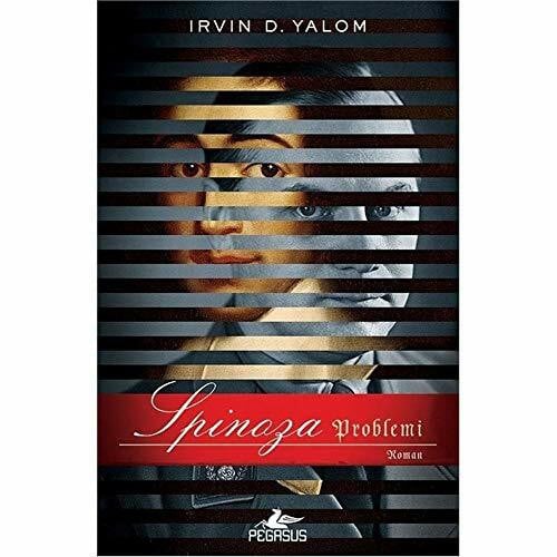 D. Yalom, Irvin Spinoza Problemi
