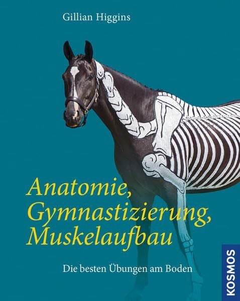 Higgins, Gillian Anatomie, Gymnastizierung, Muskelaufbau: Die besten Übungen am Boden