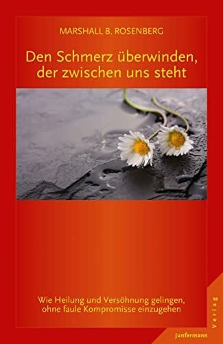 Dillo, Dr. Michael Den Schmerz überwinden, der zwischen uns steht: Wie Heilung und Versöhnung gelingen