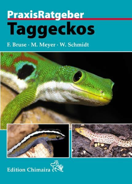 Schmidt, Wolfgang Taggeckos (Praxis Ratgeber)