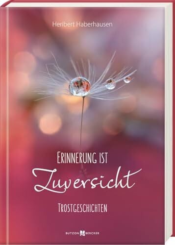 Haberhausen, Heribert Erinnerung ist Zuversicht: Trostgeschichten