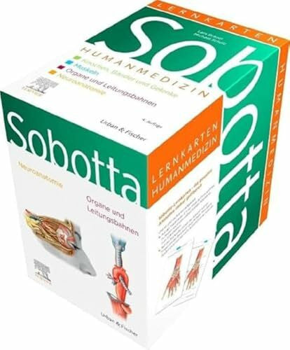 Scholz, Michael Sobotta Lernkarten Anatomie für die Humanmedizin: Knochen, Bänder und Gelenke; Muskeln; Organe, Leitungsbahnen; Neuroanatomie