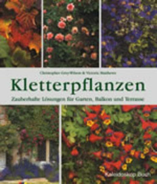 Matthews, Victoria Kletterpflanzen: Zauberhafte Lösungen für Garten, Balkon und Terrasse