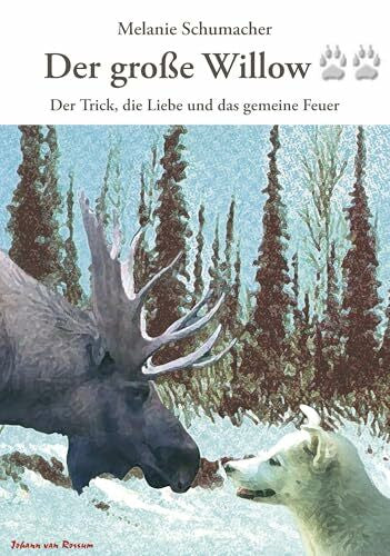 Schumacher, Melanie Der große Willow II: Der Trick, die Liebe und das gemeine Feuer