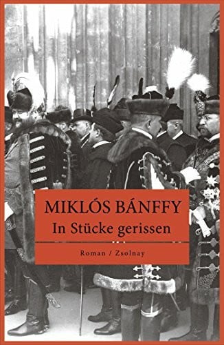 Oplatka, Andreas In Stücke gerissen: Roman