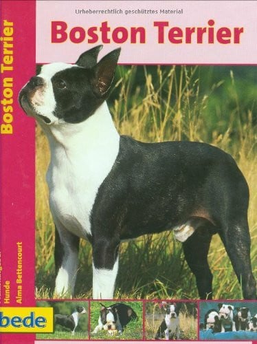 Bettenrourt, Alma Boston Terrier, Praxisratgeber