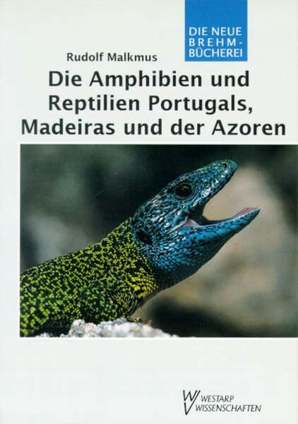 Malkmus, Rudolf AMPHIBIEN U. REPTILIEN ... PORTUGALS , MADEIRAS U. AZOR: Verbreitung, Ökologie, Schutz