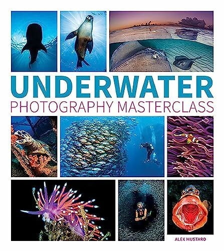 Mustard, Alex Underwater Photography Masterclass