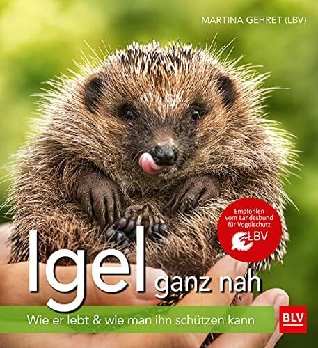Gehret, Martina Igel ganz nah: Wie er lebt & wie man ihn schützen kann (BLV Natur)