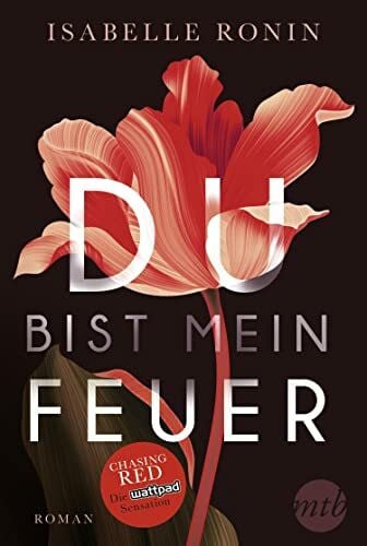 Schilasky, Sabine Du bist mein Feuer: Chasing Red