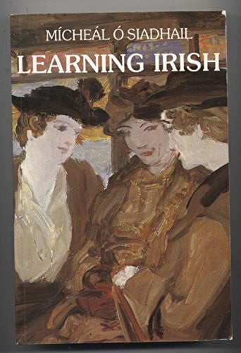 O Siadhail Micheal Learning Irish: An Introductory Self-tutor