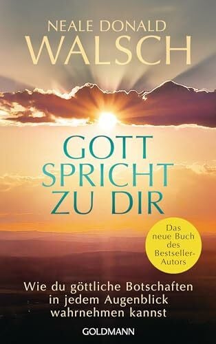 Stein, Gabriele Gott spricht zu dir: Wie du göttliche Botschaften in jedem Augenblick wahrnehmen kannst