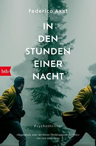 Strobel, Matthias In den Stunden einer Nacht: Psychothriller