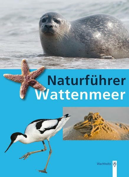 Borcherding, Rainer Naturführer Wattenmeer