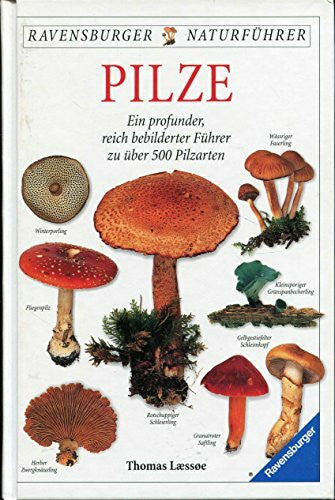 Laessoe, Thomas Handbuch Pilze: Ein profunder, reich bebilderter Führer zu über 500 Pilzarten