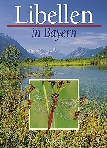 Kuhn, Klaus Libellen in Bayern
