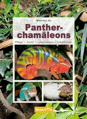 Au, Manfred Pantherchamäleons: Pflege, Zucht, Lebensweise, Lokalformen