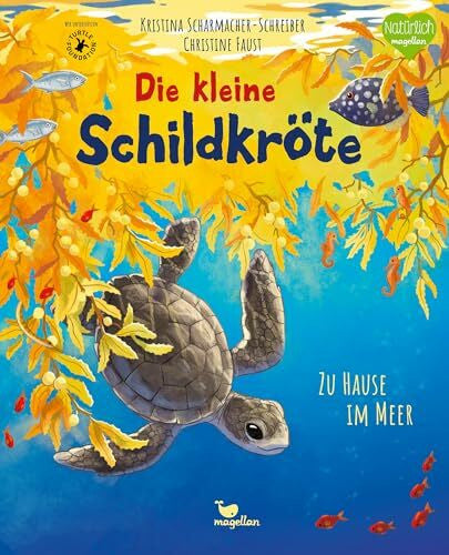 Faust, Christine Die kleine Schildkröte - Zu Hause im Meer: Bilderbuch mit erstem Sachwissen für Kinder ab 4 Jahren (Tierkinder und ihr Zuhause)