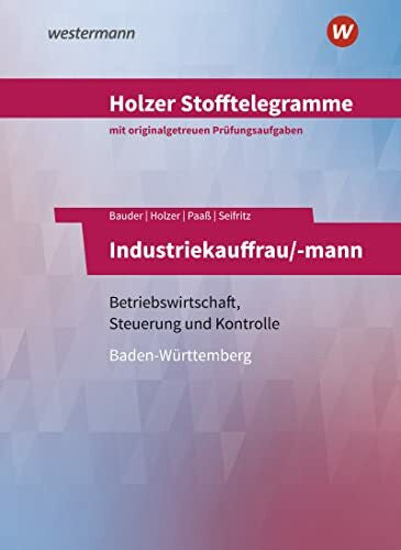 Seifritz, Christian Holzer Stofftelegramme Baden-Württemberg – Industriekauffrau/-mann: Betriebswirtschaft, Steuerung und Kontrolle Aufgabenband