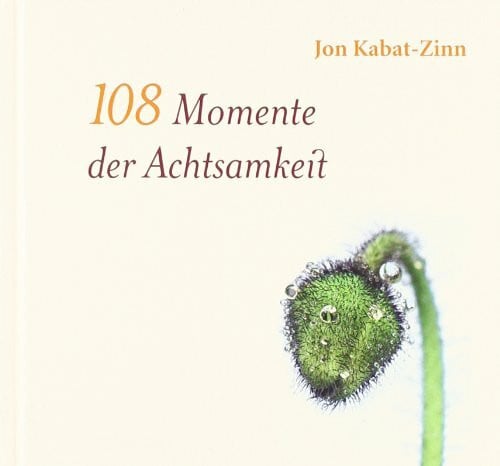 Claudia Seele-Nyima 108 Momente der Achtsamkeit: Auszüge aus 'Zur Besinnung kommen'