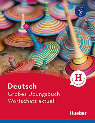 Brill, Lilli Marlen Deutsch Großes Übungsbuch Wortschatz aktuell A2-C1: Buch