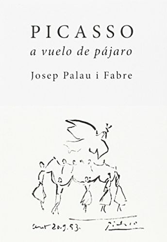 Picasso a vuelo de pájaro