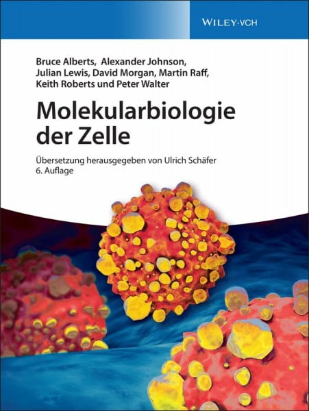 Häcker, Bärbel Molekularbiologie der Zelle