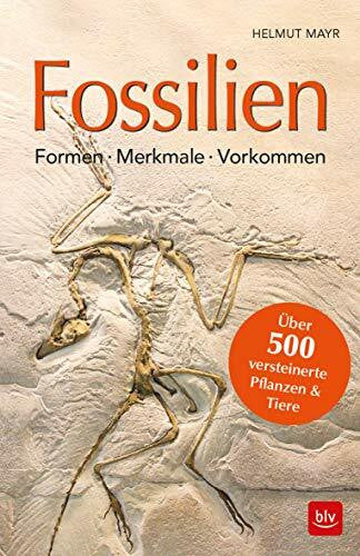 Mayr, Helmut Fossilien: Formen, Merkmale, Vorkommen Über 500 versteinerte Pflanzen & Tiere (BLV Steine, Mineralien & Fossilien)