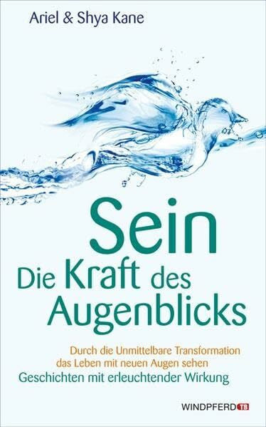 Kane, Ariel SEIN – Die Kraft des Augenblicks!: Unmittelbare Transformation das Leben mit neuen Augen sehen