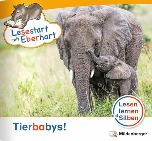 Brandau, Nicole Lesestart mit Eberhart: Tierbabys!: Themenhefte für Erstleser, Lesestufe 1 (Lesestart mit Eberhart: Lesen lernen mit Silben - Themenhefte für Erstlesekinder - 5 Lesestufen)