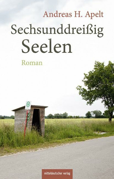 Apelt, Andreas H. Sechsunddreißig Seelen: Roman
