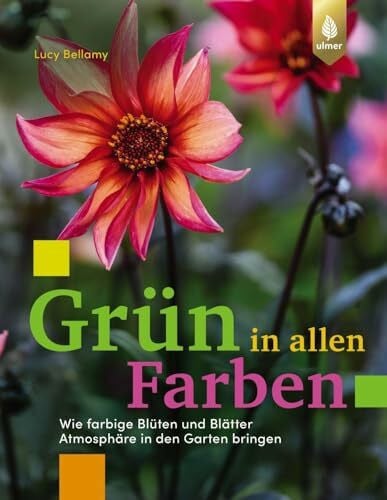 Hesemann, Sabine Grün in allen Farben: Wie farbige Blüten und Blätter Atmosphäre in den Garten bringen