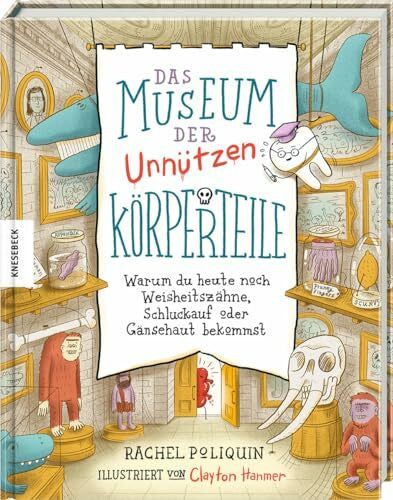 Panzacchi, Dr. Cornelia Das Museum der unnützen Körperteile: Warum du heute noch Weisheitszähne, Schluckauf oder Gänsehaut bekommst