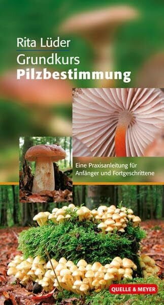 Lüder, Rita Grundkurs Pilzbestimmung: Eine Praxisanleitung für Anfänger und Fortgeschrittene (Quelle & Meyer Bestimmungsbücher)