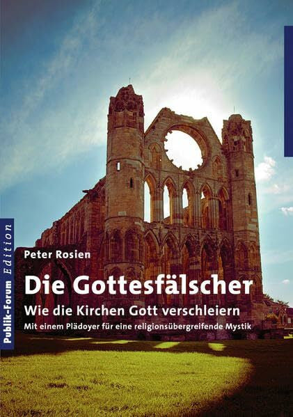Rosien, Peter Die Gottesfälscher: Wie die Kirchen Gott verschleiern. Mit einem Plädoyer für eine religionsübergreifende Mystik