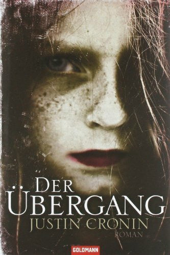Schmidt, Rainer Der Übergang: Band 1 der 'Passage-Trilogie' - Roman